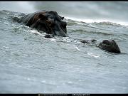 National Geographic Wallpapers 032_jpg